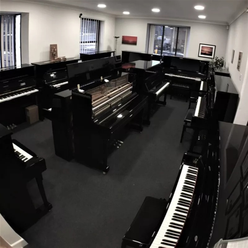 5 Sai Lầm "Chết Người" Người Mới Mua Piano Thường Mắc Phải