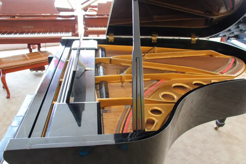 Bắt Bệnh "Hư Hỏng Tâm Lý" Của Piano: Giải Mã Âm Thanh Lệch Pha, Kẹt Phím & Cách