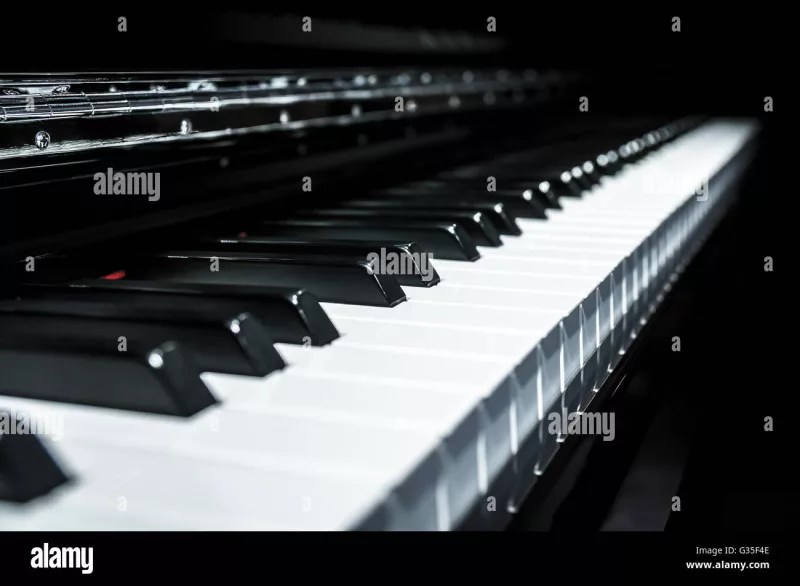 Beyond Phím Đen Trắng: Khám Phá Câu Chuyện Ẩn Sau Mỗi Nốt Nhạc Piano Của Bạn