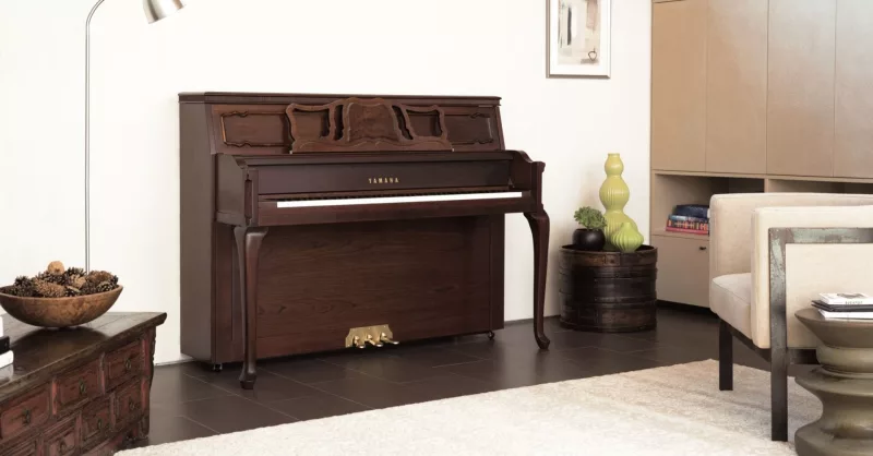 Bí Quyết Đánh Thức "Giấc Ngủ Đông" Của Piano: Giải Cứu Đàn Hồi Sinh Sau Thời Gia