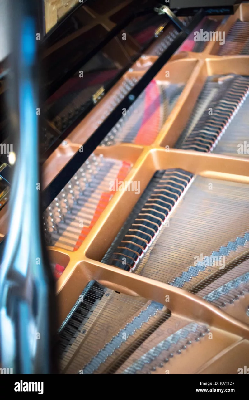 Chọn Piano Biểu Diễn Hoàn Hảo: Cho Sân Khấu Lớn hay Ngôi Nhà Thân Yêu?