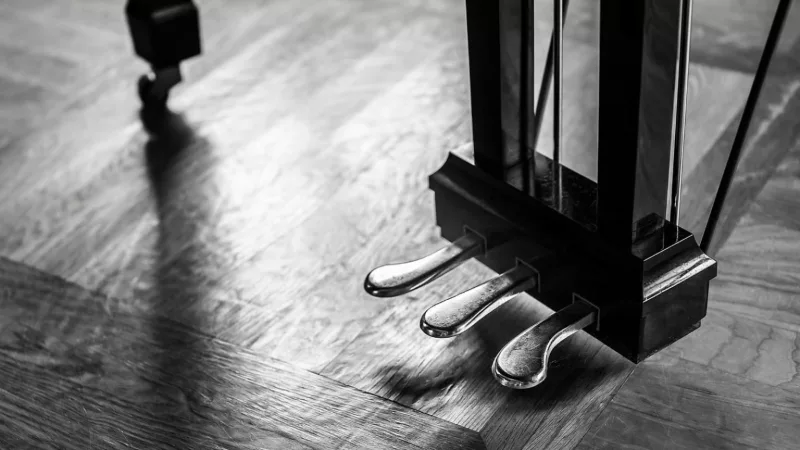 Có nên mua piano "nguyên đai nguyên kiện": Bí mật chuẩn bị đàn từ nhà phân phối?