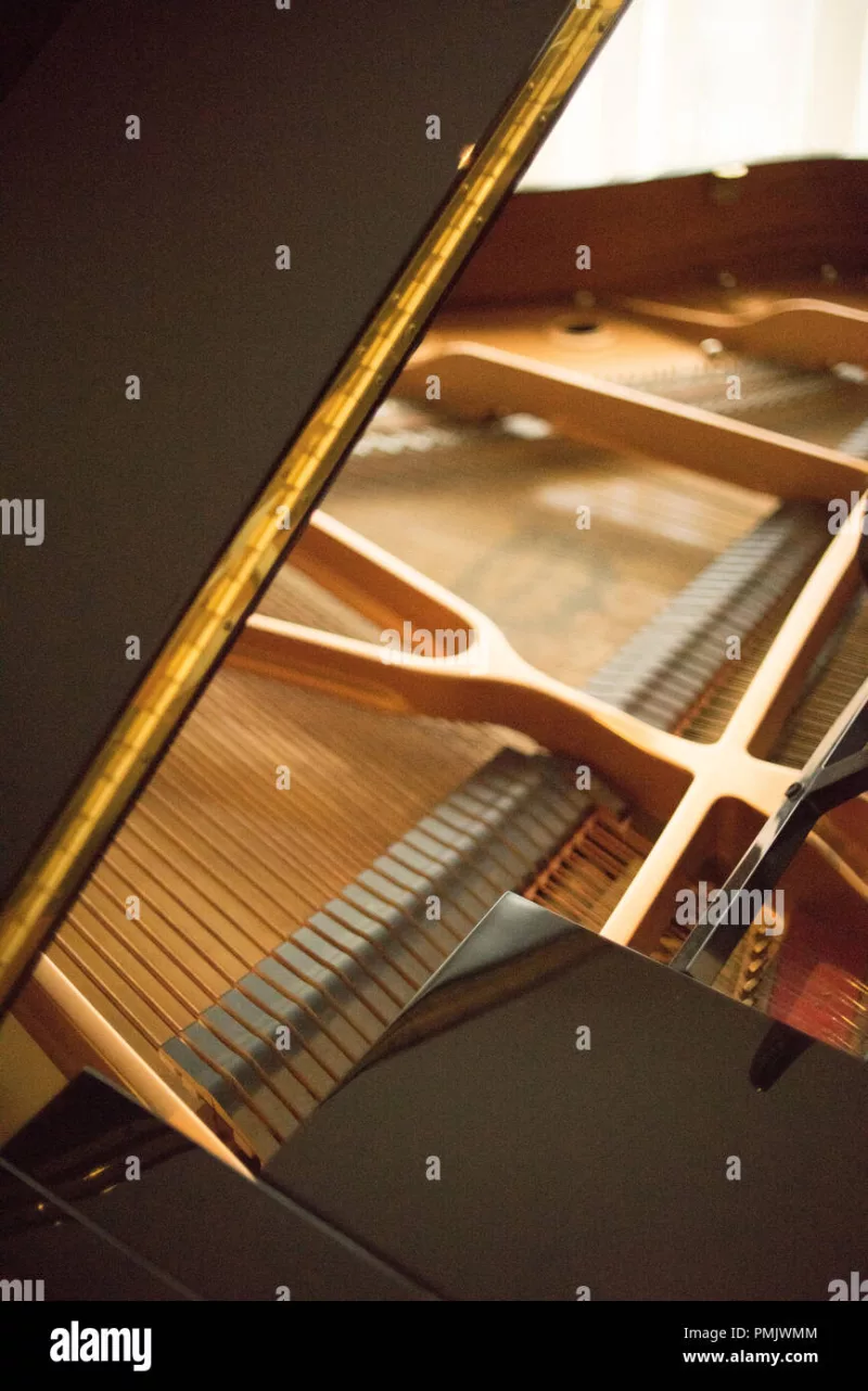 Nghệ thuật piano