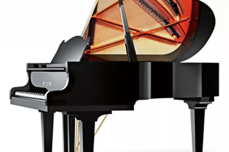 Đánh Giá Chi Tiết: Nên Chọn Grand Wilhelm Schimmel W180 Hay Upright Schimmel C12