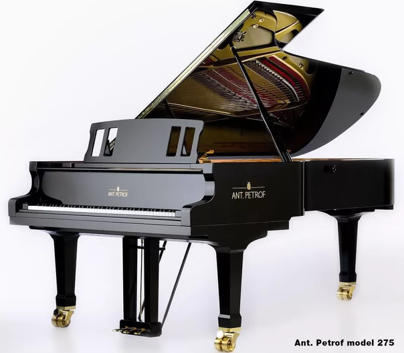 Đánh giá piano Ant. Petrof: Góc nhìn từ nghệ sĩ chuyên nghiệp