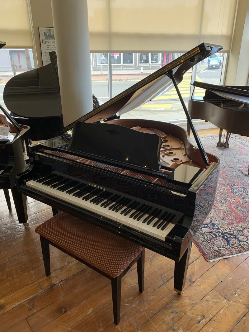 Đánh Thức "Linh Hồn" Piano Cũ: Hành Trình Hồi Sinh Di Sản và Giá Trị Bất Khả Thi