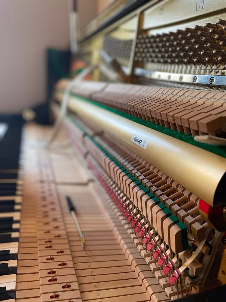 Điều chỉnh & Lên dây đàn piano: Bí quyết cho người sành chơi