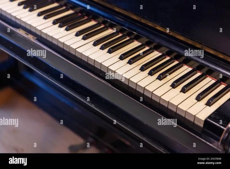 Giải Mã "Địa Chỉ Vàng": Truy Lùng Đàn Piano Cũ Nổi Tiếng Từng Thuộc Về Nghệ Sĩ Lớn