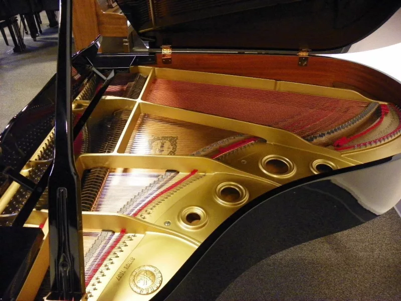 Giải Mã "Hệ Thần Kinh" Piano: Từ Búa Gõ Đến Âm Thanh – Phân Tích Cơ Chế Hoạt Động & Ảnh Hưởng Âm Sắc