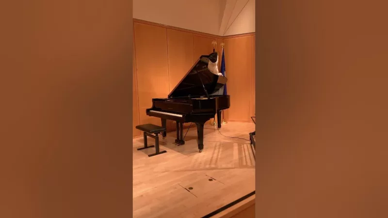 Giải Mã "Ma Thuật Im Lặng": Khoa Học Đằng Sau Âm Thanh Không Phát Ra Của Piano L