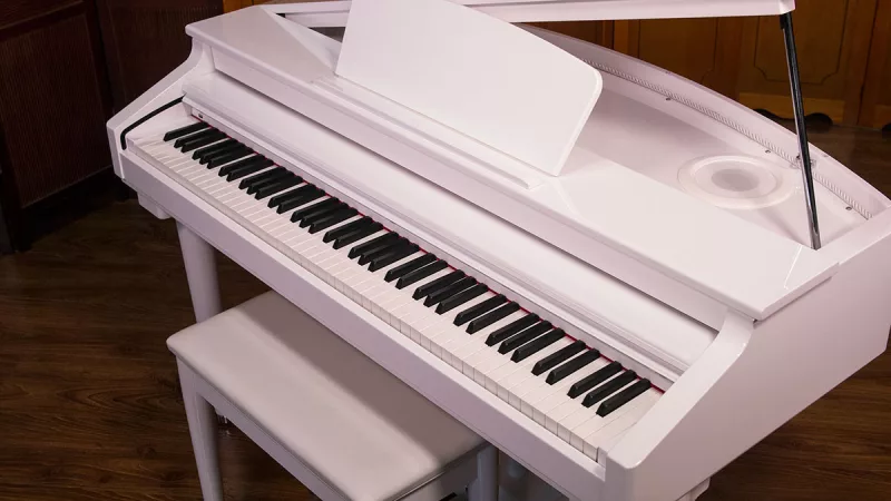 Giải Mã "Thế Thân Hoàn Hảo": Đánh Giá Piano Cũ Từ Góc Độ Chuyên Gia Điều Chỉnh Âm Thanh
