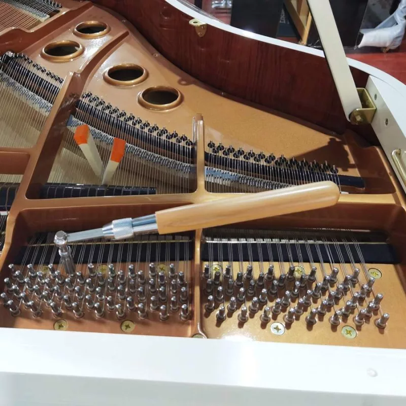 Huyền Thoại Phím Đàn: Giải Mã "Linh Hồn" Âm Nhạc Qua Các Câu Chuyện Piano Lịch S