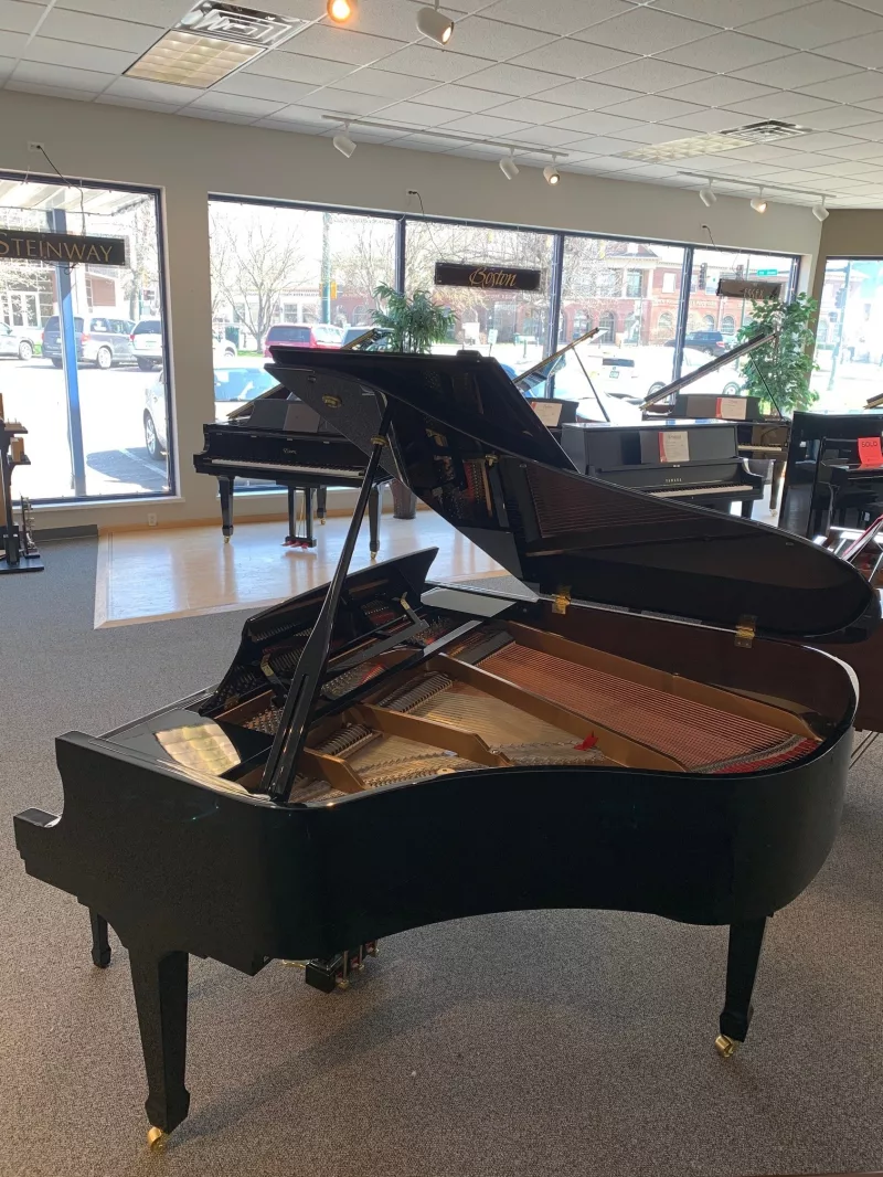 Khám Phá "Hệ Miễn Dịch" Piano: Bí Quyết Chống Lão Hóa & Duy Trì Sức Sống Âm Nhạc