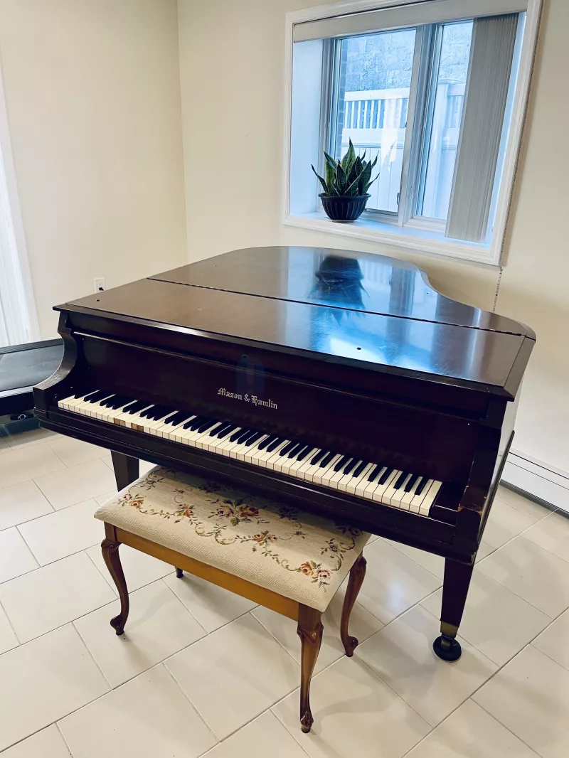 Khám Phá "Tâm Lý Giá" Piano: Khi Giá Cả Không Chỉ Là Con Số & Ảnh Hưởng Đến Quyết Định Mua