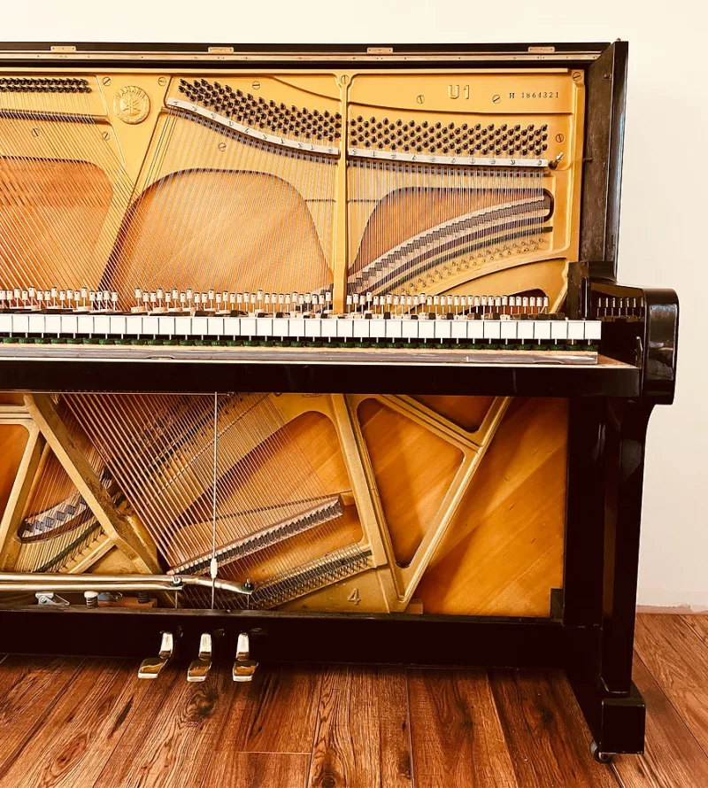 Mẹo "săn" piano cũ giá hời: Bí kíp mua trực tiếp từ chủ nhân!
