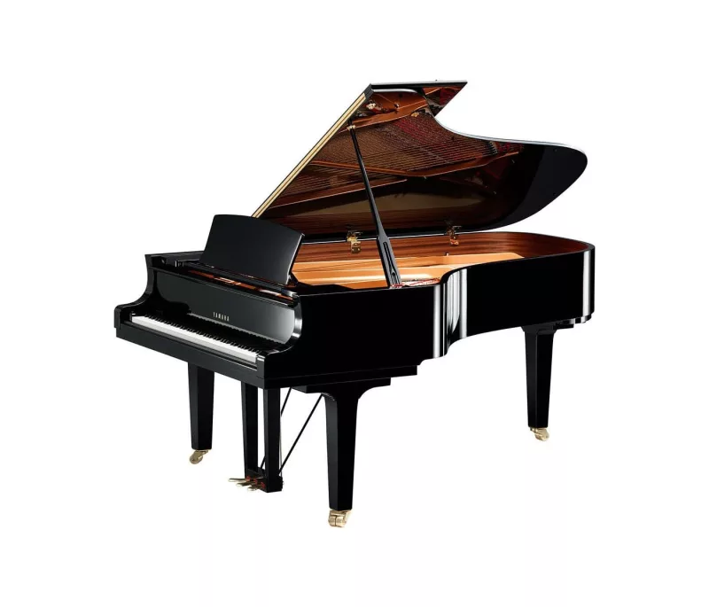 Nhịp Đập Cá Tính": Đánh Giá Piano Điện Theo 5 Phong Cách Thể Hiện Độc Đáo Của Người Chơi