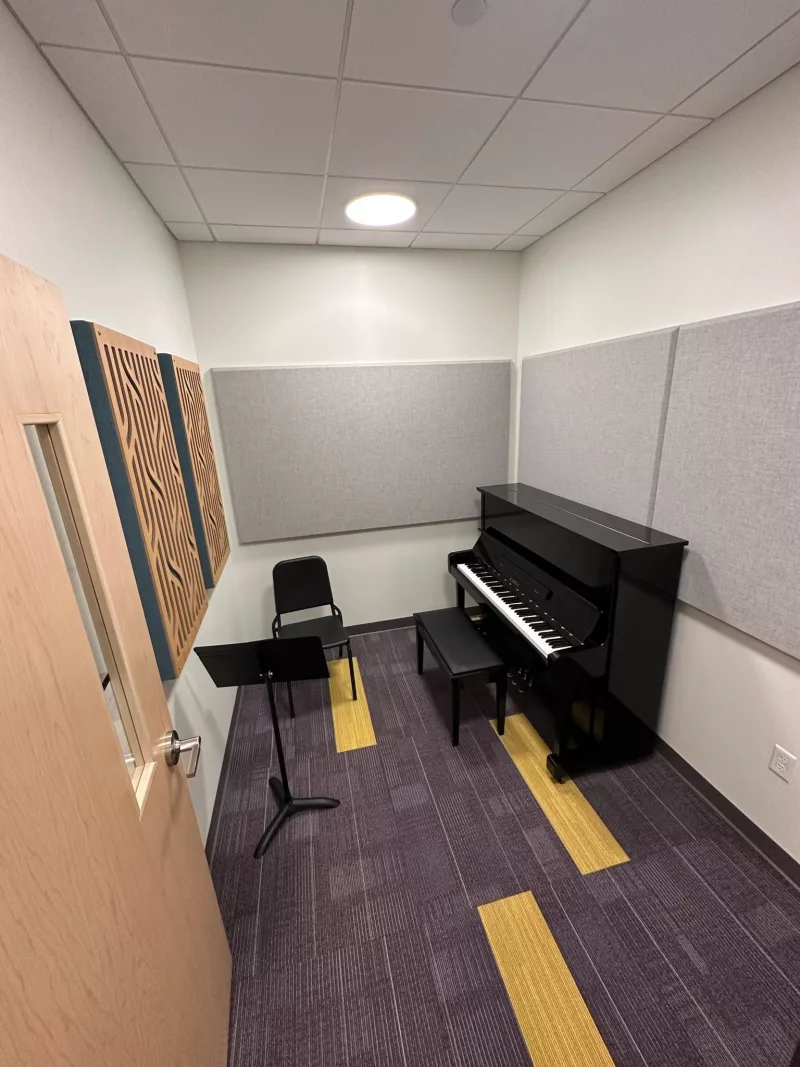 Những "Bóng Hồng" Đứng Sau Đàn Piano: Nữ Công Nghệ Sư Định Hình Âm Thanh Hoàn Mỹ