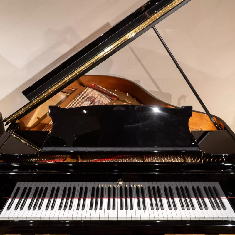 Phân Tích Chuyên Sâu: Công Nghệ Phím Piano Điện "Vô Hình" - Cảm Giác Chơi Y Như Thật Từ Đâu Mà Có?