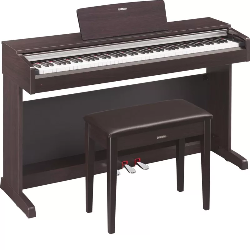Piano Châu Âu "Di Thực" Sang Á: Giữ Gìn Di Sản & Khám Phá Âm Sắc Mới