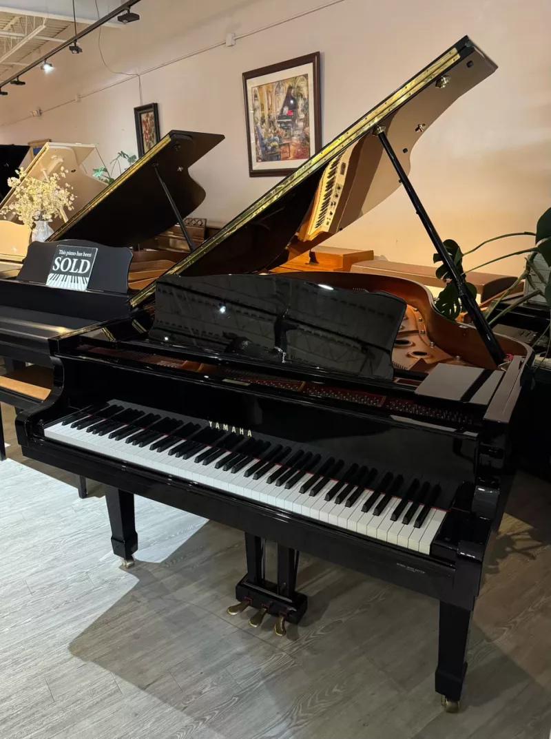 Piano Cơ Đàn Ông: Bóc Tách Sức Mạnh & Phong Cách Âm Nhạc Cá Tính Từ Kích Cỡ Đến