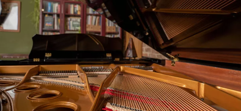 Piano Cơ Đàn Việt: Mổ Xẻ Thương Hiệu Việt Nào "Thật" & Đáng Tin Cậy?