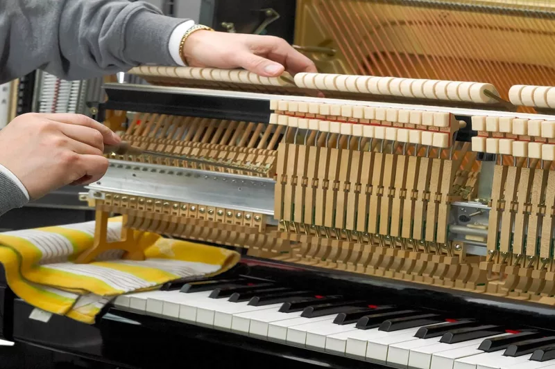 Piano Cơ Lai": Giải Mã Công Nghệ "Quiet Play" & Lựa Chọn Hoàn Hảo Cho Cuộc Sống Hiện Đại