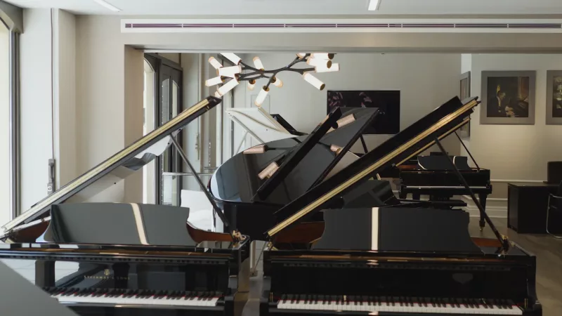 Piano Cơ "Lên Mây": Khám Phá Âm Thanh Thiên Đường Từ Gỗ Quý Hiếm & Kỹ Thuật Độc Bản