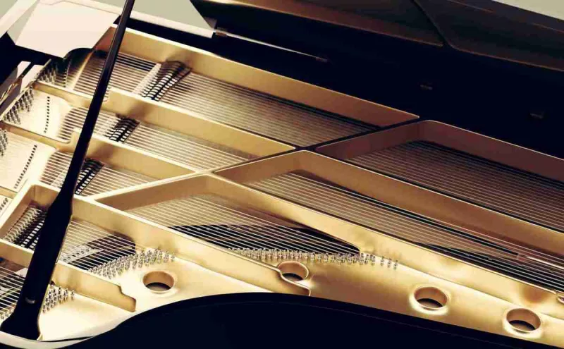 Piano Cũ Tái Sinh: Bí Mật Đằng Sau Quyết Định "Thanh Lý" Của Chủ Cũ & Giá Trị Thật