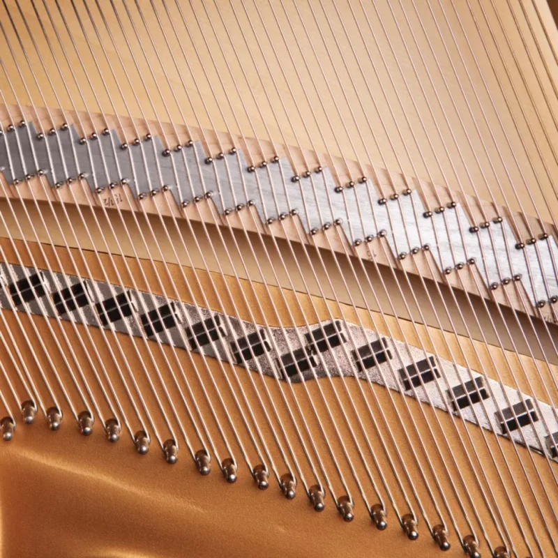 Đàn piano chất lượng cao