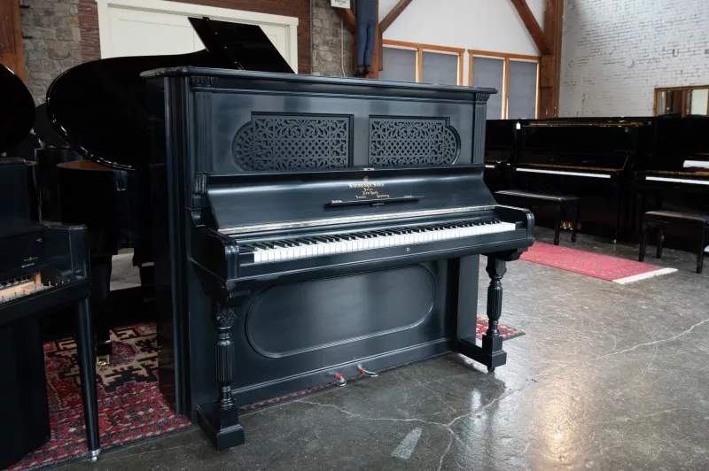 Piano Điện "Đa Dạng Âm Sắc": Giải Mã Công Nghệ Lấy Mẫu & Mô Hình Hóa Âm Thanh Độc Quyền