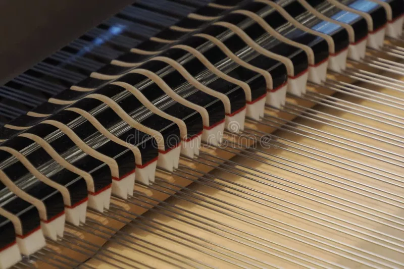 Piano Điện "Du Mục": Đánh Giá Khả Năng Di Động & Hiệu Suất Cho Nghệ Sĩ Biểu Diễn