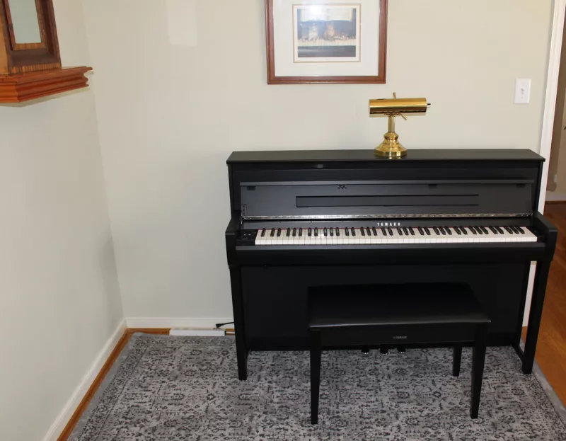 Nghệ thuật piano