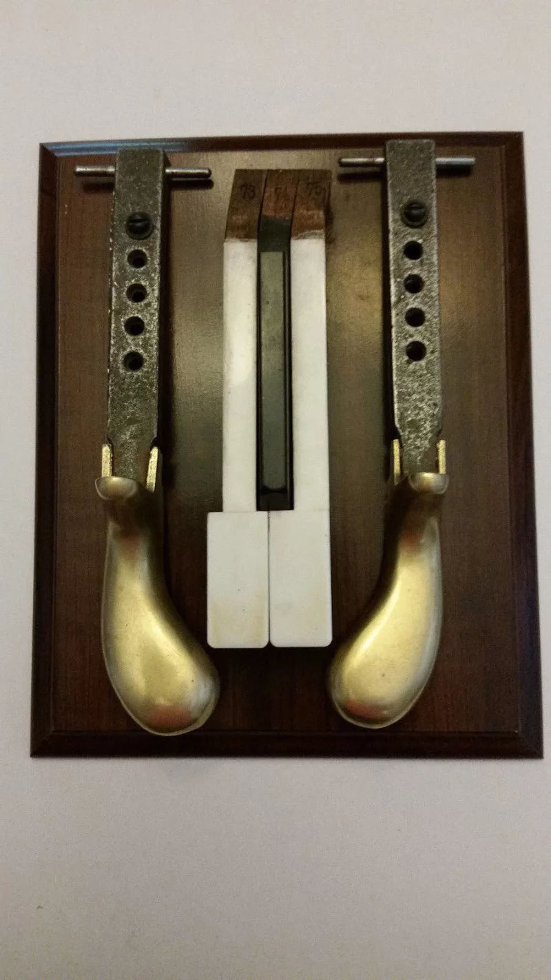 Piano Hấp Âm & Phản Hồi: Chọn Đàn "Kể Chuyện" & Thấu Hiểu Cảm Xúc