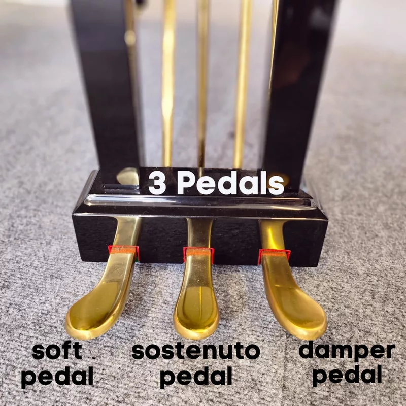 Piano Hóa Giải Mùi Đàn: Khoa Học & Bí Quyết Loại Bỏ Mùi Ẩm Mốc, Thuốc Lá Hiệu Qu