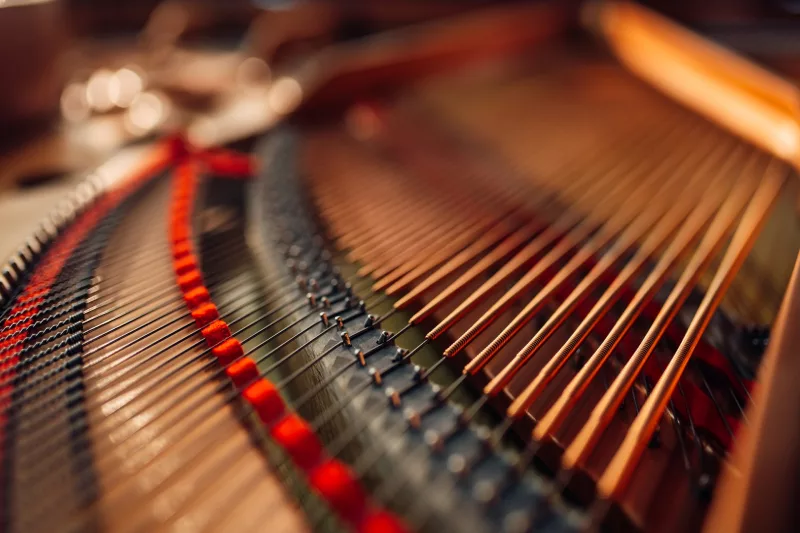 Piano & Trí Tuệ Xúc Cảm: Đánh Thức Cảm Xúc, Nâng Cao IQ/EQ Qua Phím Đàn