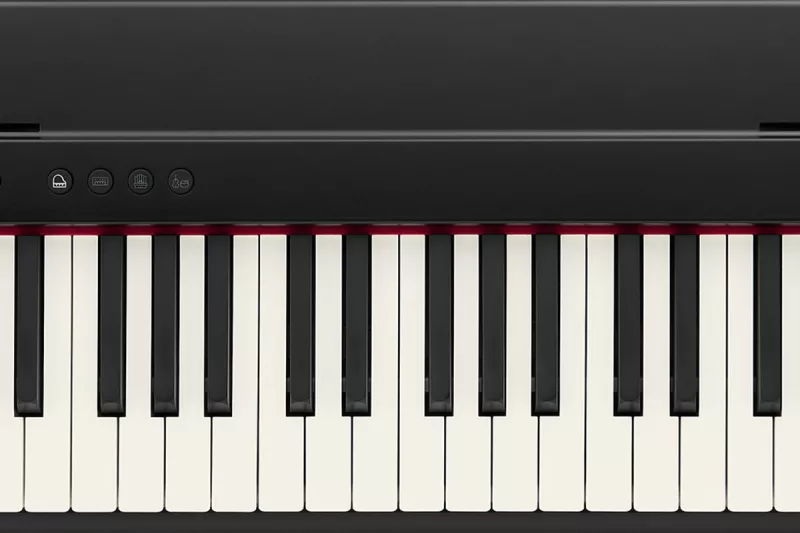 Roland GO:PIANO88 - Liệu Có Phải Piano Điện Hoàn Hảo Cho Người Mới Bắt Đầu?