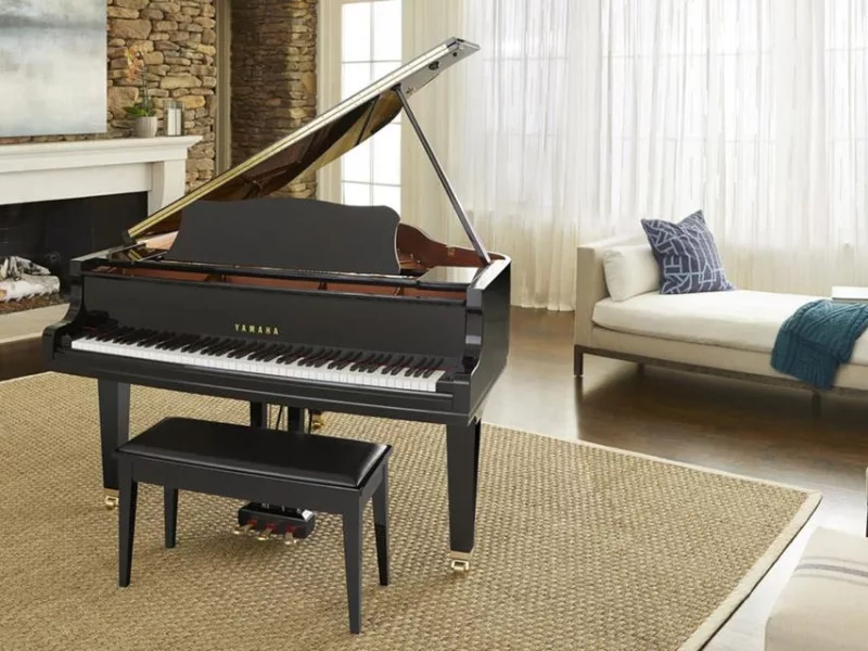 Tâm Lý Học Đằng Sau Phim Đàn: Giải Mã Kỹ Năng Đọc Nốt Nhạc Tức Thì Của Piano Mas
