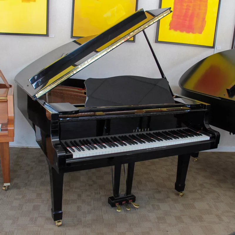 Tối Ưu Âm Vị: Bảo Dưỡng Độ Ẩm Piano Cơ – Khoa Học Đằng Sau Giai Điệu Vượt Thời Gian