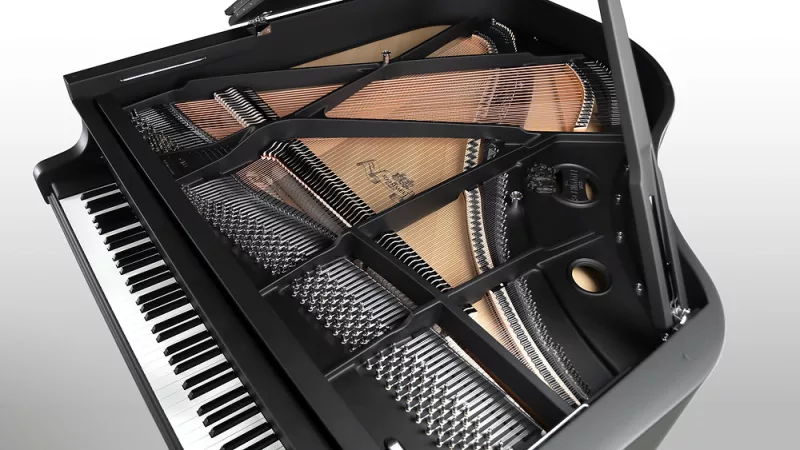 Tuyệt tác Piano "Ngọc Trai Đen" từ Schimmel: Đẳng cấp nghệ thuật mới!